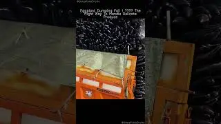 Eggplant Dumping Gone Wrong! 😱 Learn the Right Way #FarmFails #ProduceHandling