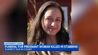 Man accused of stabbing pregnant woman 70 times Downers Grove due in court