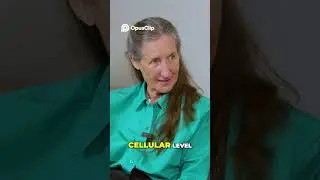 Barbara O'Neill: The REAL Cause of Chronic Fatigue (Not What You Think)