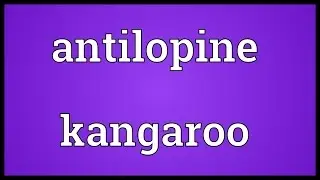 Antilopine kangaroo Meaning