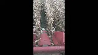 Field View: Testing Our New (pre-owned) 8-XP Plot Combine