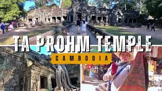 Ta Prohm Temple Cambodia