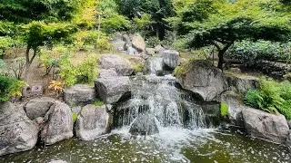 Holland park tour London | Holland park beautiful Kyoto garden visit | Kensington & Chelsea