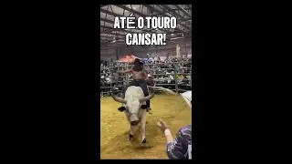 Rodeio mexicano ou Jaripeo