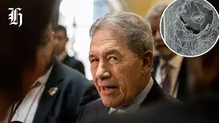Winston Peters' Auckland home vandalised, Foreign Minister blames 