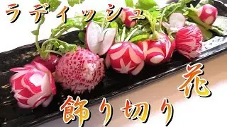 ラディッシュ飾り切り　花　包丁一本で簡単適当に盛り合わせ