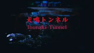 初ホラーゲーム　【#犬鳴トンネル】part1
