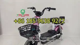 Y2 HY High Quality lead acid battery e bike two seat electric bike with basket electric bicycle