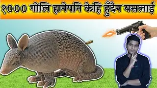 जति गोलि हान्नुहोस तर यसलाई केही हुँदैन, अनौठो जीव | Nothing happens to it| Mfacts Ep. 12|MountFacts