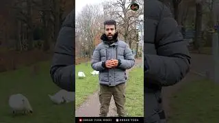 Free Yoga Class l Yoga for beginners l मुफ्त योग कक्षा  Onkar Yoga
