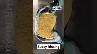 ASMR Sudsy Rinsing Compilation