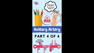 Full video of this lesson on the Axillary Artery (Mnemonic) is in the description!