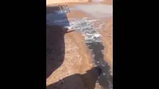 معاناة مرتادي مركز النخيل