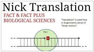 FACT & FACT PLUS || Biological sciences || Nick Translation || Radio Labelled Nucleotide