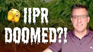 Does Shareholder Litigation Mean IIPR Stock Is Doomed?