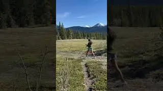 Have you been here? #alberta #albertaviews #kananaskis #canmore #hiking