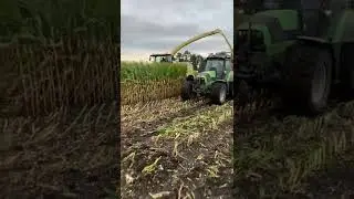 Krone 780 in maze