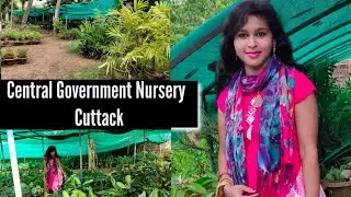 #nurserytour Central Government Nursery Tour & Plants Price, Cuttack