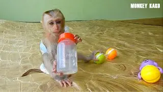 Cute Baby Monkey Drink Milk With Big Milk Bottle, Good Health Nina Sleep Milk