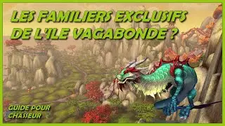 LES NOUVEAUX FAMILIERS DU PATCH 11.2.7, DISPONIBLES SUR L'ILE VAGABONDE ?