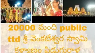 20000+ People TTD Sri Venkateswaralu Swami Kalyanam /శ్రీ వెంకటేశ్వర స్వామి కళ్యాణం/#viral #shorts 