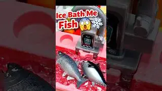 Cute Salmon Tuna Rice Bowl 🍣🍚 | Toy Cooking ASMR&rdquo;#toys #shorts