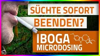 Iboga - Substanzinfo (Wirkung, Microdosing, Legalität)
