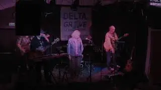 DELTA GROOVE cover Walk on the Wild Side