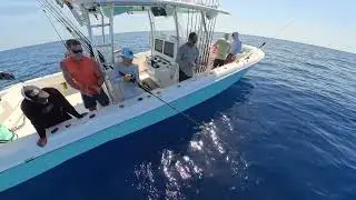 043 Frankie - fish came off