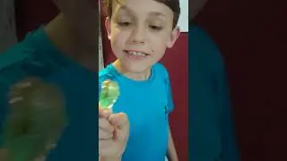 Disgusting bug lollipop challenge!