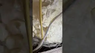 Frozen Pipes + Drafty Wall? Here&rsquo;s What We Found ✅ #insulation #problem #repairs #shortvideo #shorts