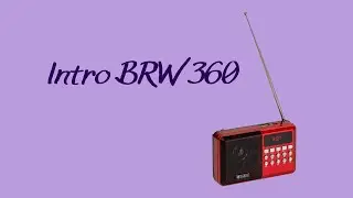 Бюджетная портативная колонка Intro BRW360