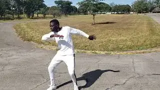 Herman ft 2nice mnyama--Touch(Official Dance Cover) #Afrojay Choreography