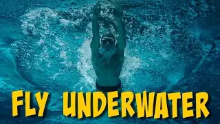 🏅 AI-lig Music | Fly Underwater  #music #ailig