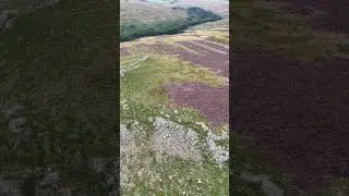 Somewhere in the Cheviot hills