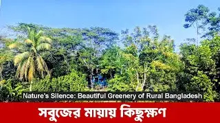 Nature at Night: Silent Village Life & Personal Reflections | Live from Rooftop | Ruposhi TV