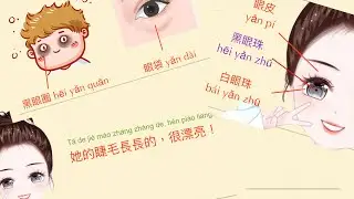 廣東人教普通話  #人體1  #mandarin 寫作 #詞語 #putonghua #mandarinchang