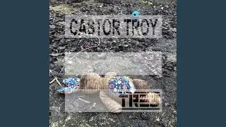 Castor Troy