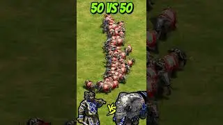 50 Warrior Priests vs 50 Elite War Elephants (AoE2) #Shorts #ageofempires #gaming