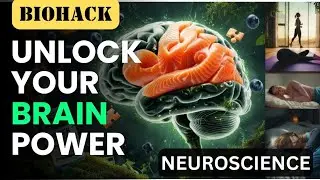 Biohack| Fix Your Brain Naturally &ndash; 6 Biohacks That Actually Work.