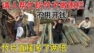 夫妻俩请人帮忙砍竹子却不开工钱，五个人砍了一片竹林  竹片多到用不完，不用担心围栏不够了