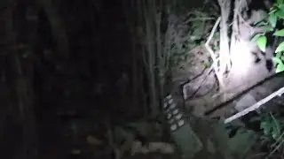 Creepy Exploration: Old House!