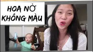 HOA NỞ KHÔNG MÀU-  HOÀI LÂM - COVER NGỌC HUỲNH HOYER SÁNG TÁC NGUYỄN MINH CƯỜNG