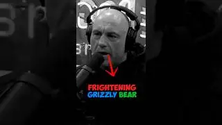Joe Rogan Watches Frightening Grizzly Bear Video