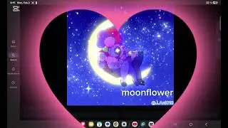 #moonflower#dandysworld