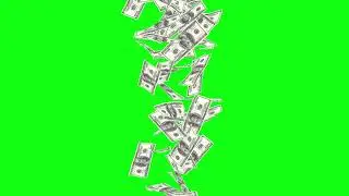 dollar money stocks falling green screen and black screen no copyright video