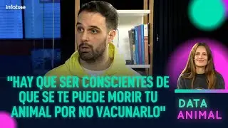 &iquest;Qu&eacute; pasa si no vacuno a mi perro y cu&aacute;les son las enfermedades m&aacute;s comunes? | #DataAnimal