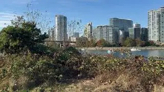 False Creek South , Vancouver , 加拿大温哥华街景 , #身边的风景 #城市海岸线