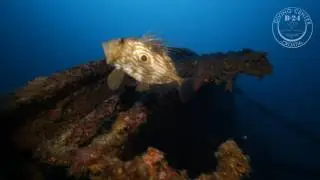 Brioni, B-24 Diving Center, Vis