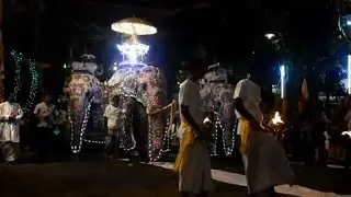 Sri Lanka holds annual Buddhist Navam procession
